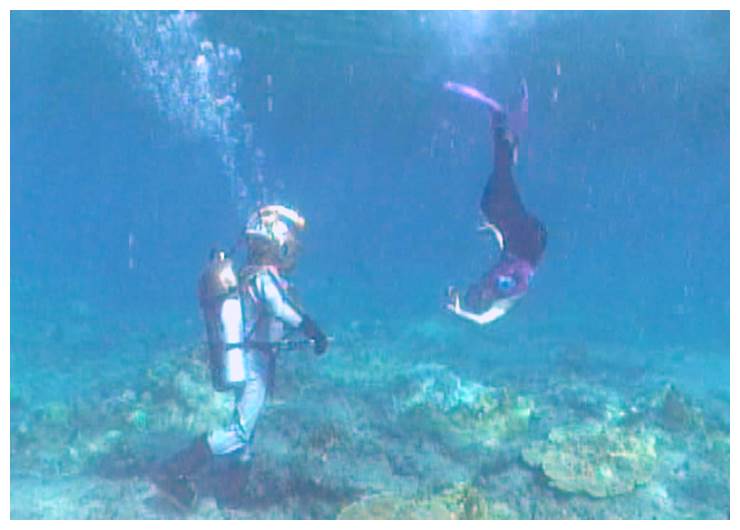 FREEDIVER AND NEMO