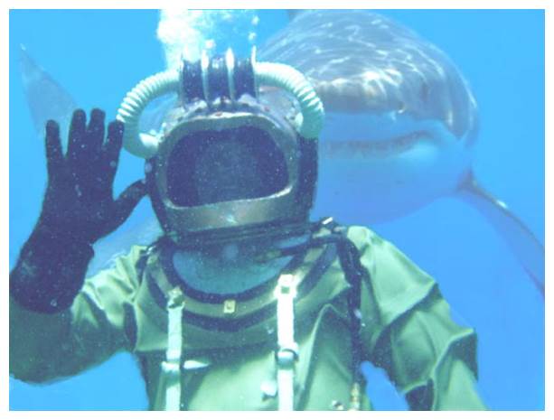HERE SHARKEY!!! (4)
